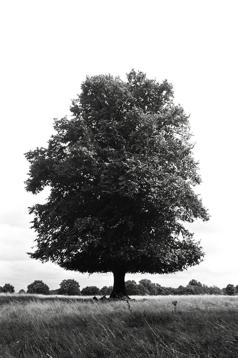 Featured work by Ruskin Brown